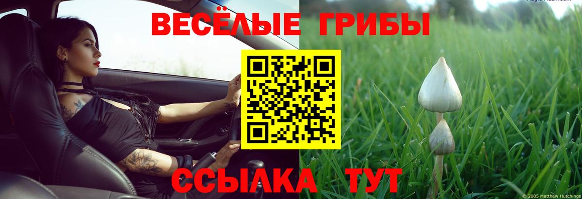 Сосновый Бор  Псилоцибиновые грибы прущие грибы  Вход с VPN 